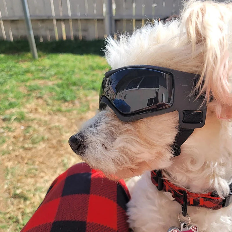 Adjustable Pet Goggles