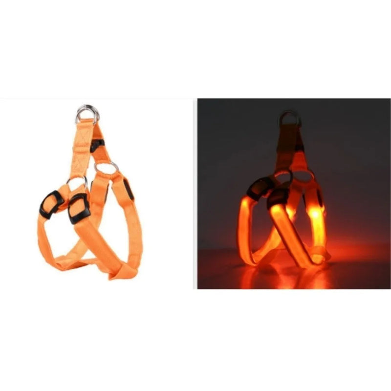 LED Pet Harness