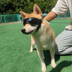 Adjustable Pet Goggles