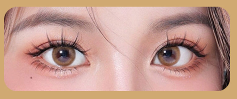 Natural Magnetic Lashes